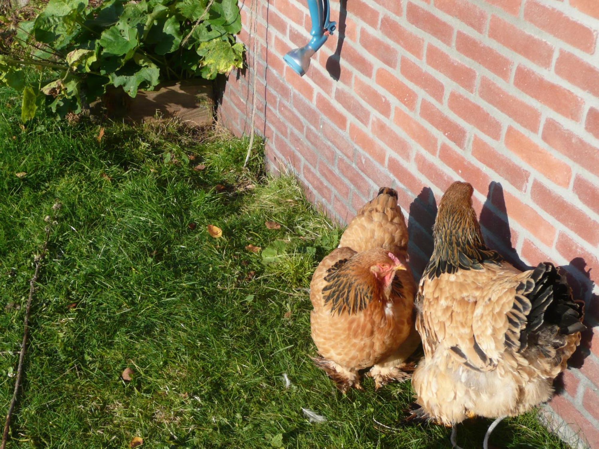 Slaopen En Stoet Bed & Breakfast Anderen Bagian luar foto