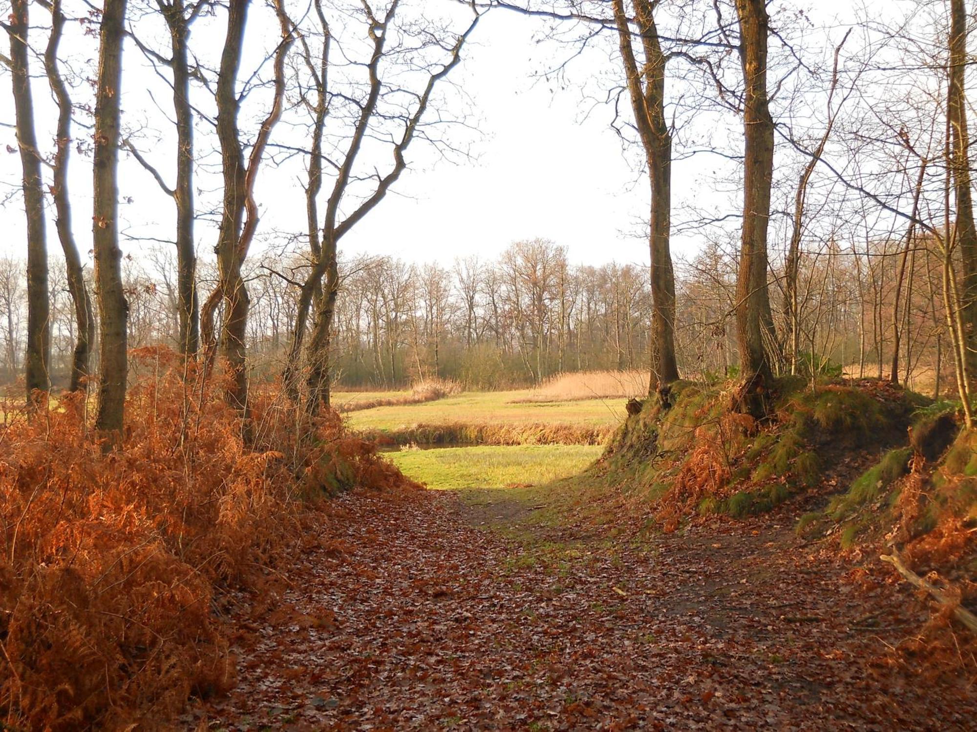 Slaopen En Stoet Bed & Breakfast Anderen Bagian luar foto